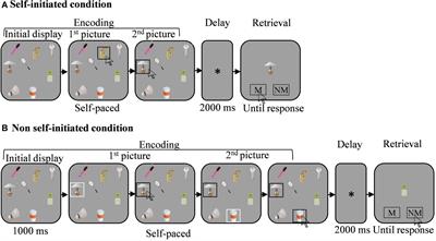 Spatial Organization in Self-Initiated Visual Working Memory